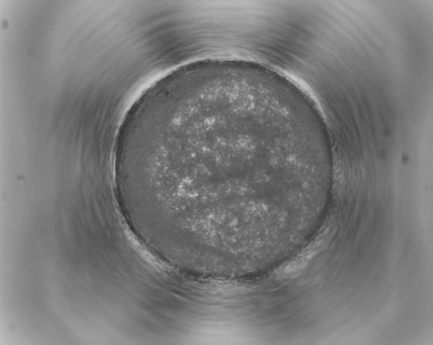 X0000088180935200706051138