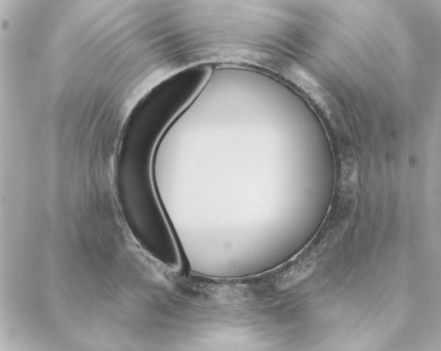 X0000088180936200706051138