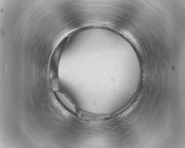 X0000088180940200706051138