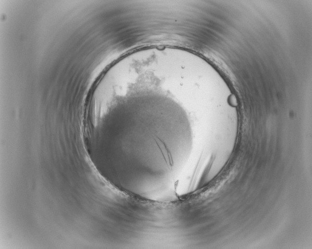 X0000088180941200706051138