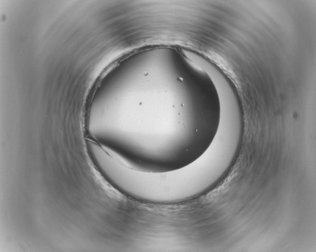 X0000088180942200706051138