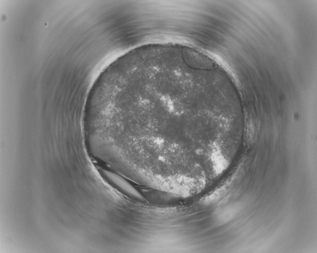 X0000088180943200706051138