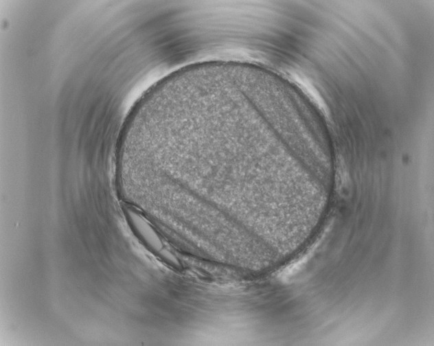 X0000088180944200706051138