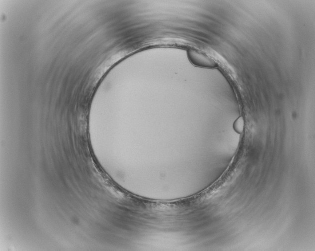 X0000088180945200706051138