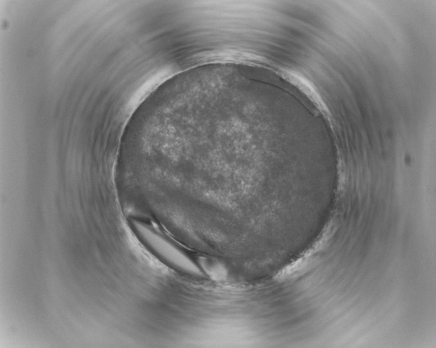 X0000088180946200706051138