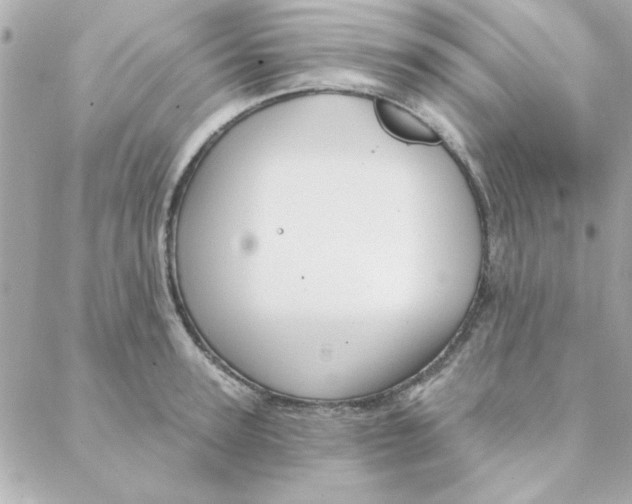 X0000088180947200706051138