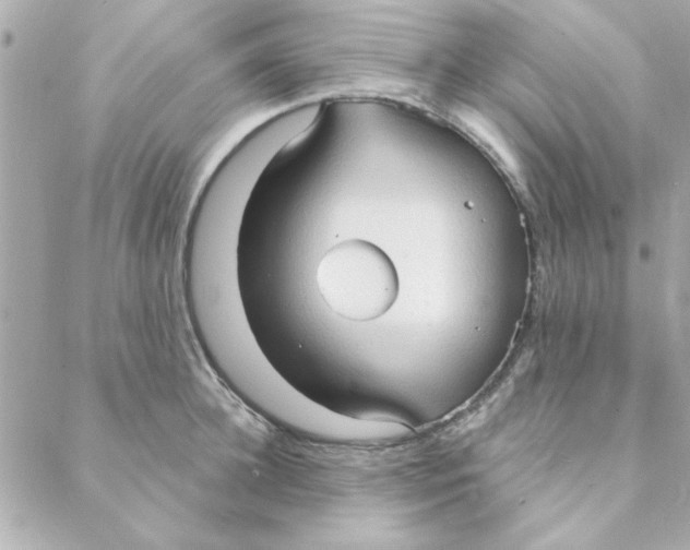 X0000088180948200706051138