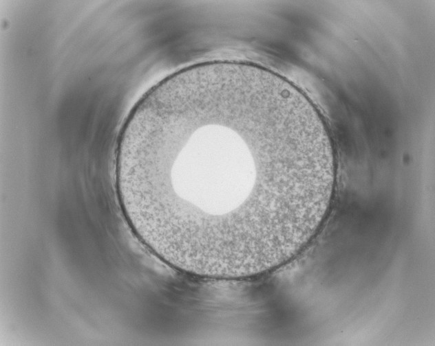 X0000088180950200706051138