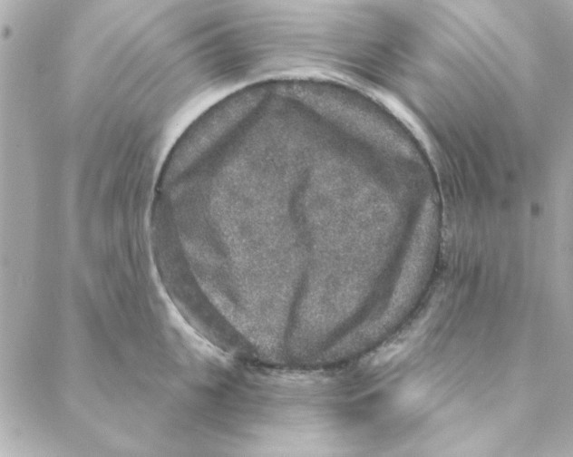 X0000088180951200706051138