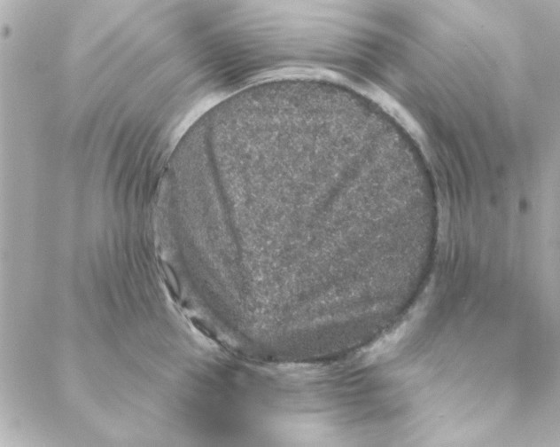 X0000088180953200706051138