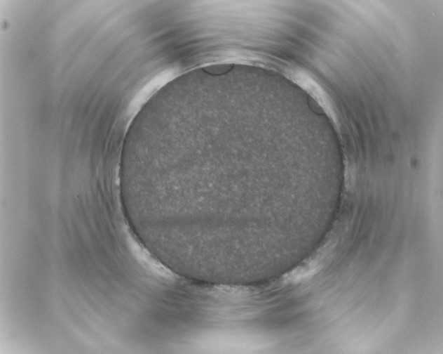 X0000088180954200706051138