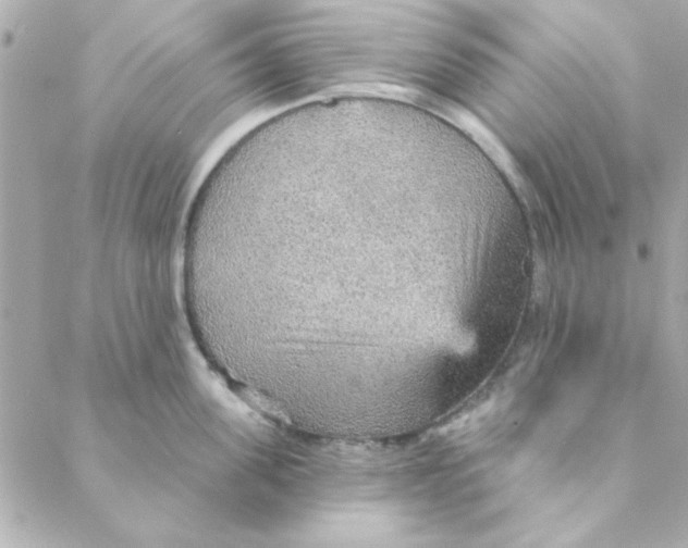 X0000088180955200706051138