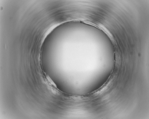 X0000088180956200706051138