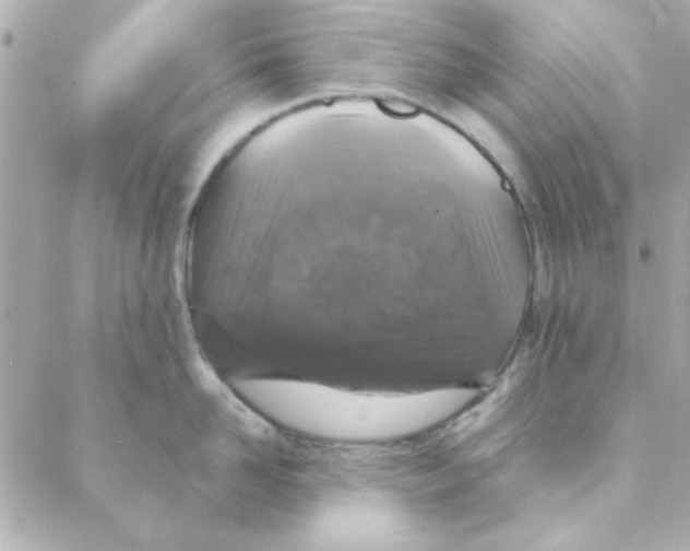 X0000088180958200706051138