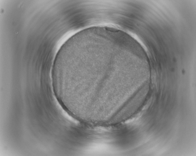 X0000088180959200706051138