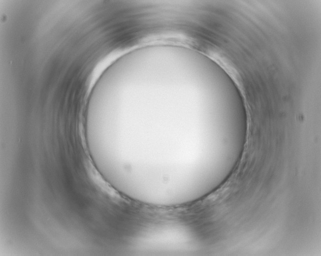 X0000088180960200706051138