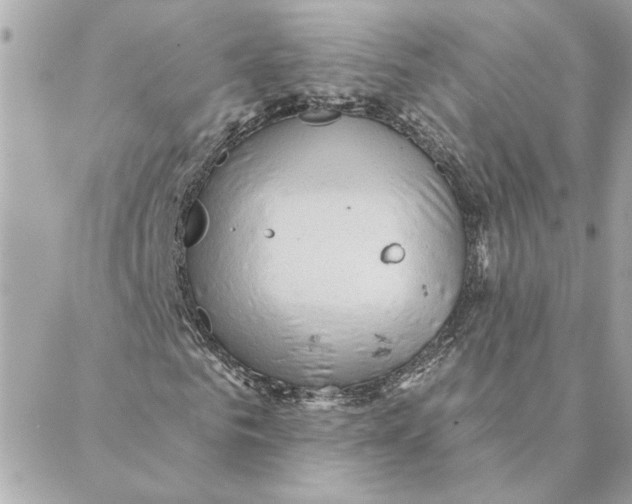 X0000088180961200706051137