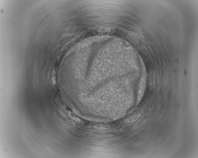 X0000088180962200706051137