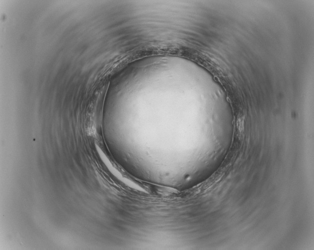 X0000088180963200706051137