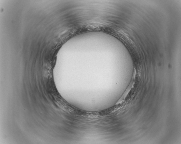 X0000088180964200706051137