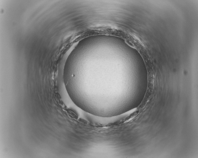 X0000088180965200706051137