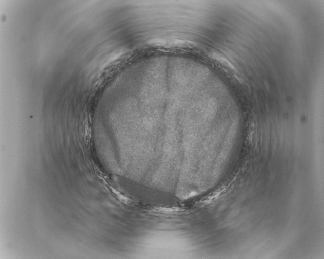 X0000088180966200706051137