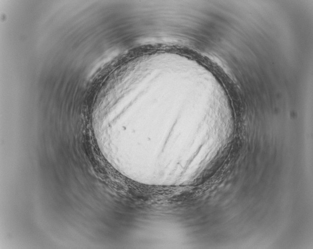 X0000088180967200706051137