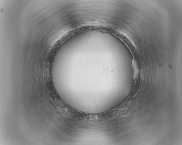 X0000088180968200706051137