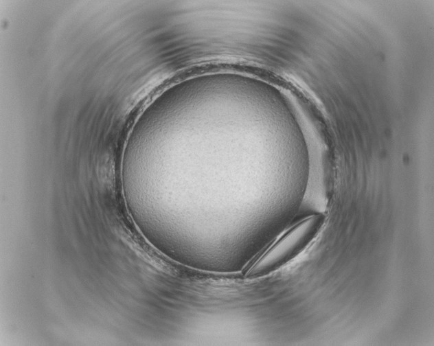 X0000088180969200706051137