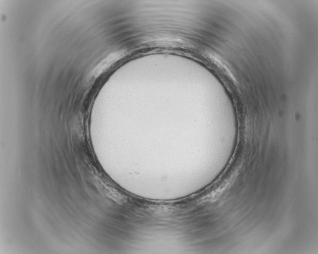 X0000088180970200706051137