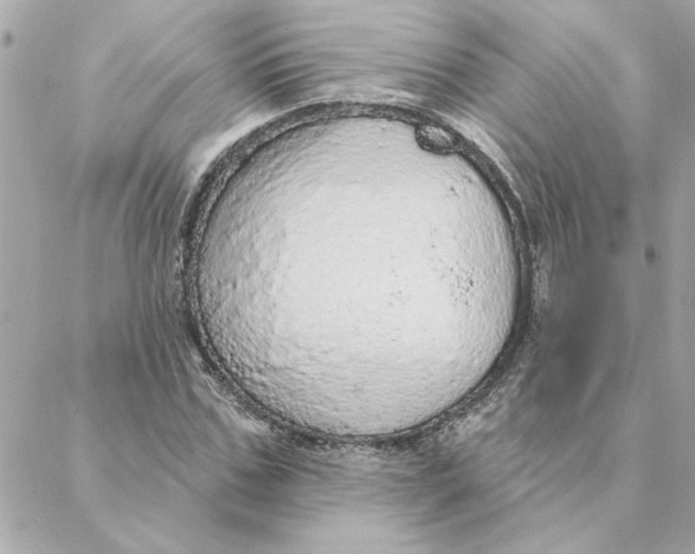 X0000088180971200706051137