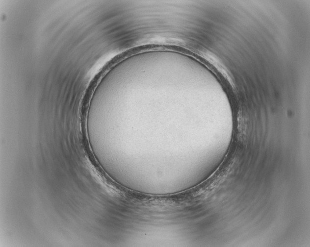 X0000088180972200706051137