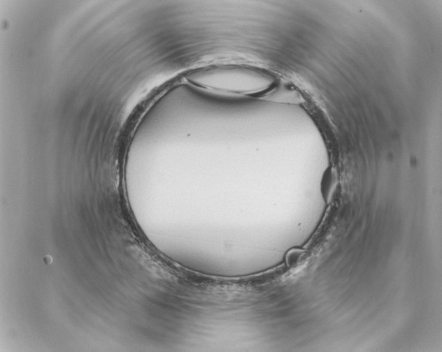 X0000088180973200706051137