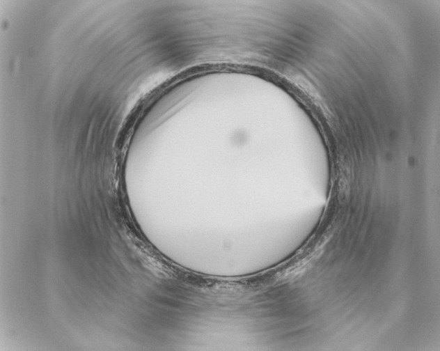 X0000088180974200706051137