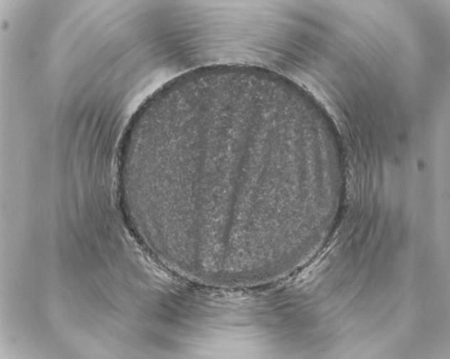 X0000088180975200706051137