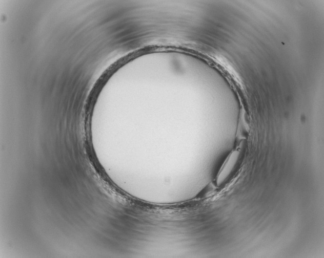 X0000088180976200706051137