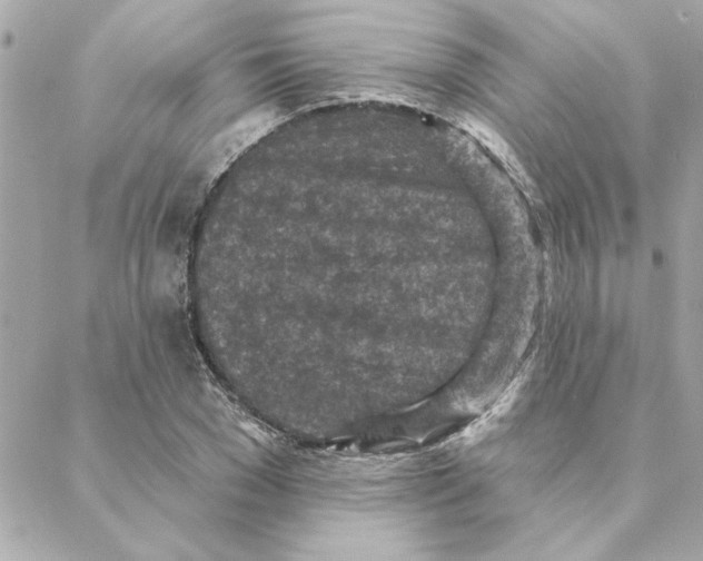 X0000088180977200706051137