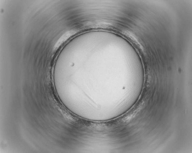 X0000088180978200706051137