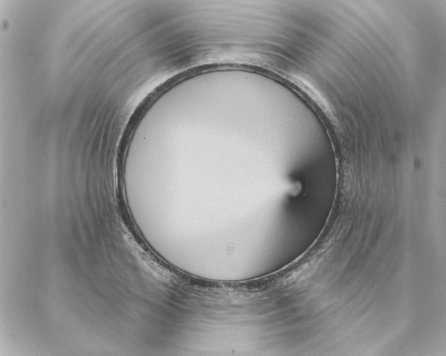 X0000088180980200706051137