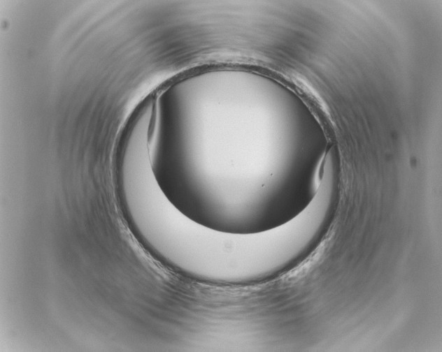 X0000088180981200706051137