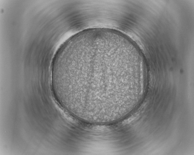 X0000088180982200706051137