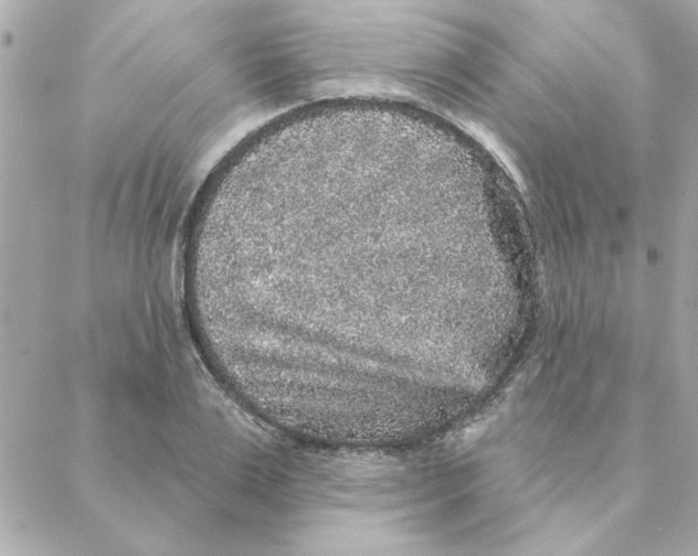 X0000088180983200706051137