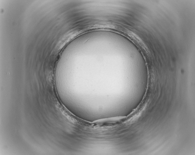 X0000088180985200706051137