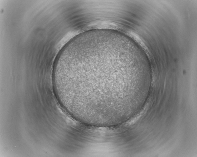 X0000088180986200706051137