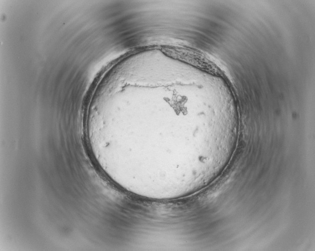 X0000088180987200706051137