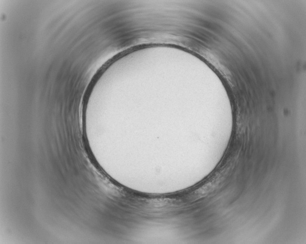 X0000088180988200706051137