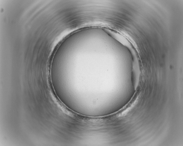 X0000088180989200706051137