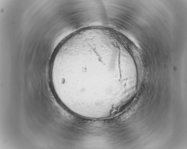 X0000088180991200706051137