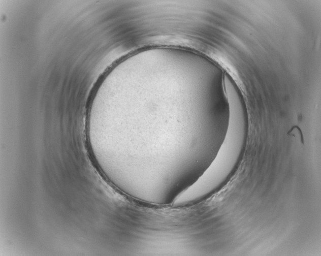 X0000088180992200706051137