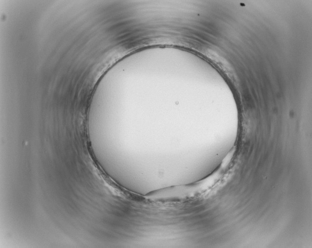 X0000088180993200706051137